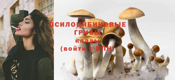 a pvp Михайловск