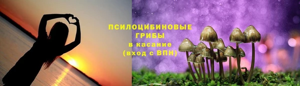 гидропоника Михайловка