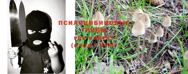 гидропоника Михайловка
