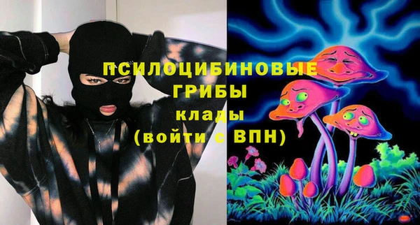 гидропоника Михайлов