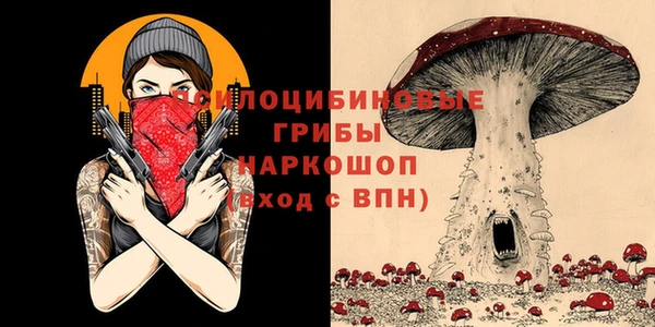 гидропоника Михайловка